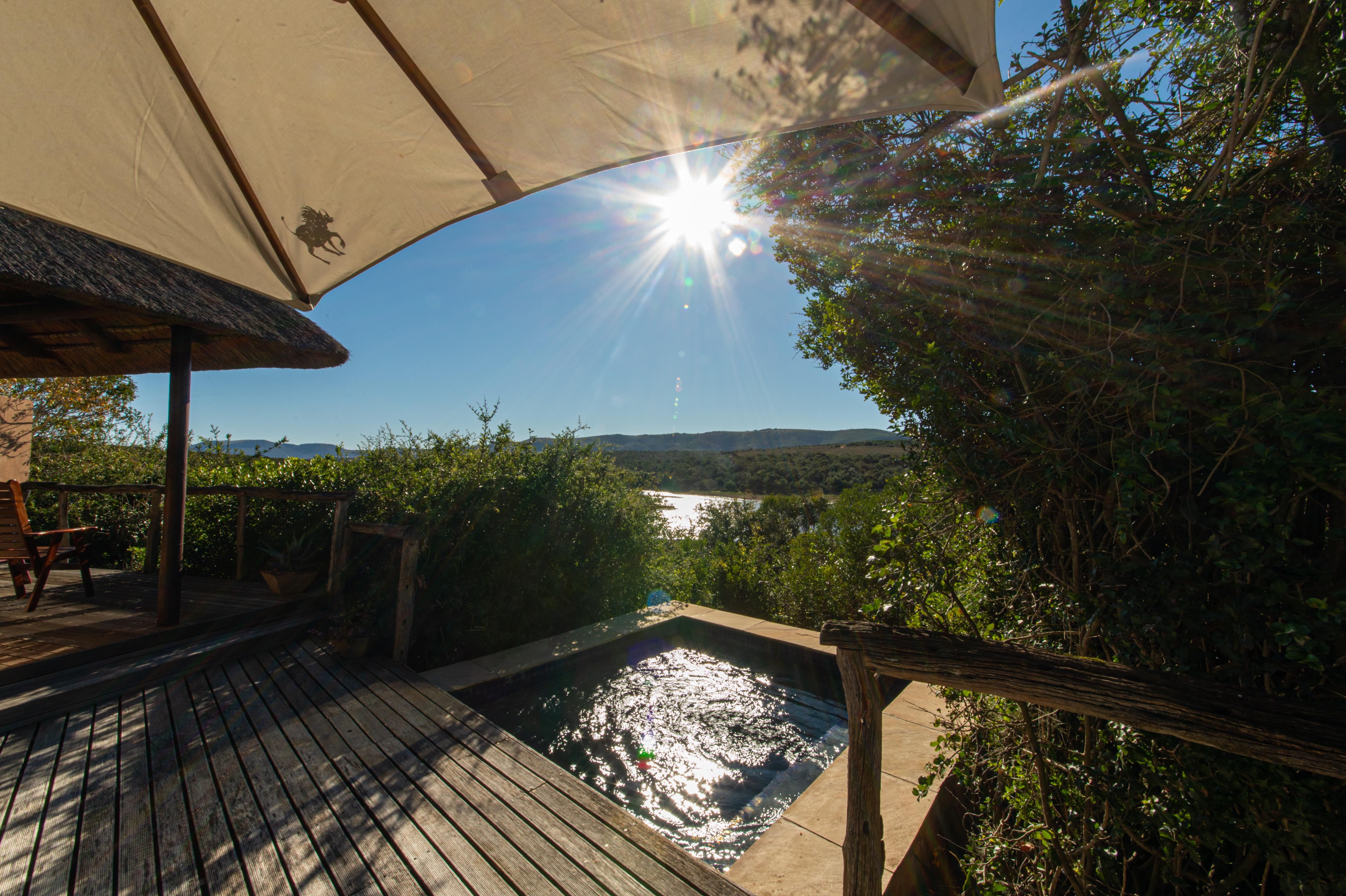 Pumba Private Game Reserve Port Elizabeth Exteriér fotografie