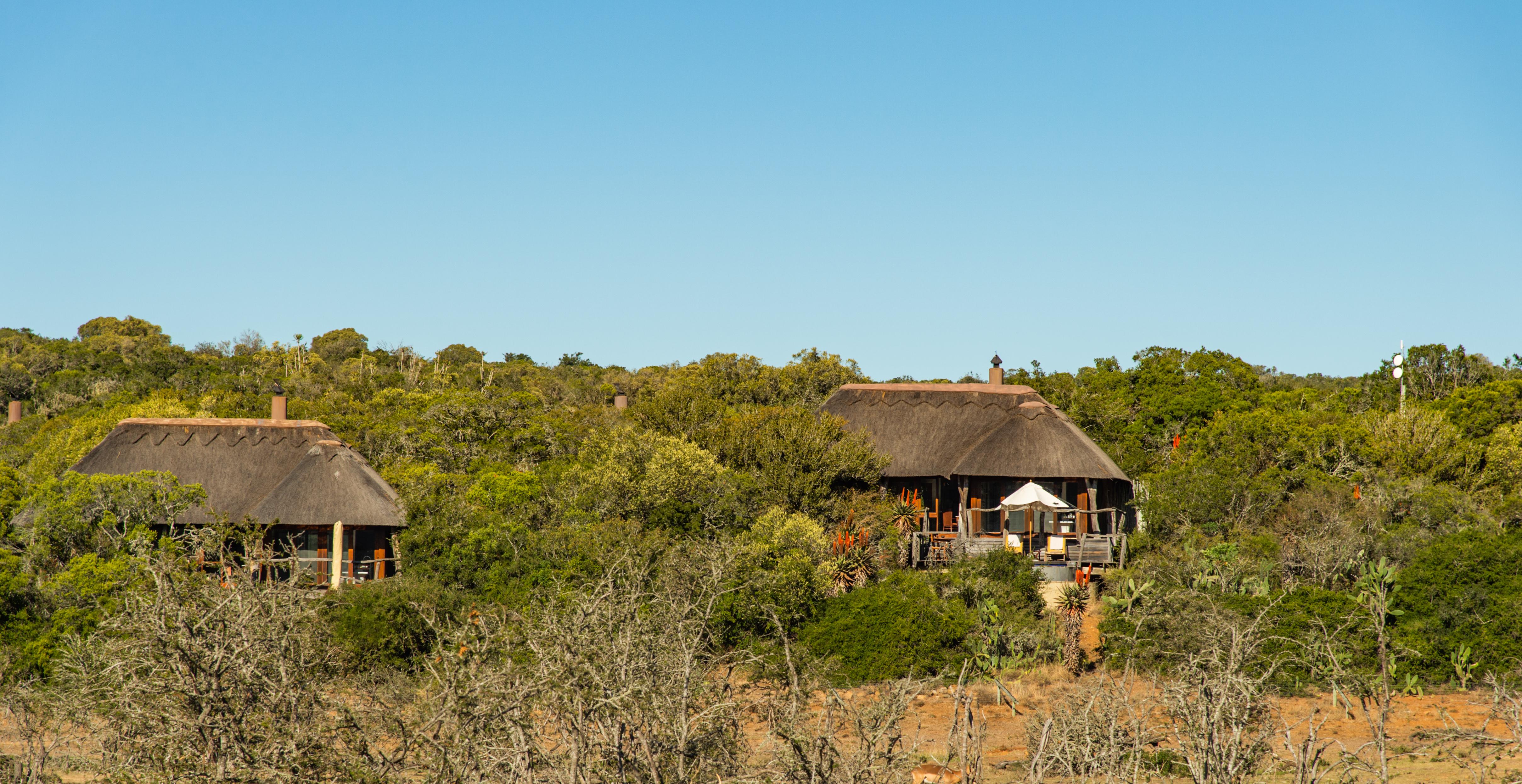Pumba Private Game Reserve Port Elizabeth Exteriér fotografie