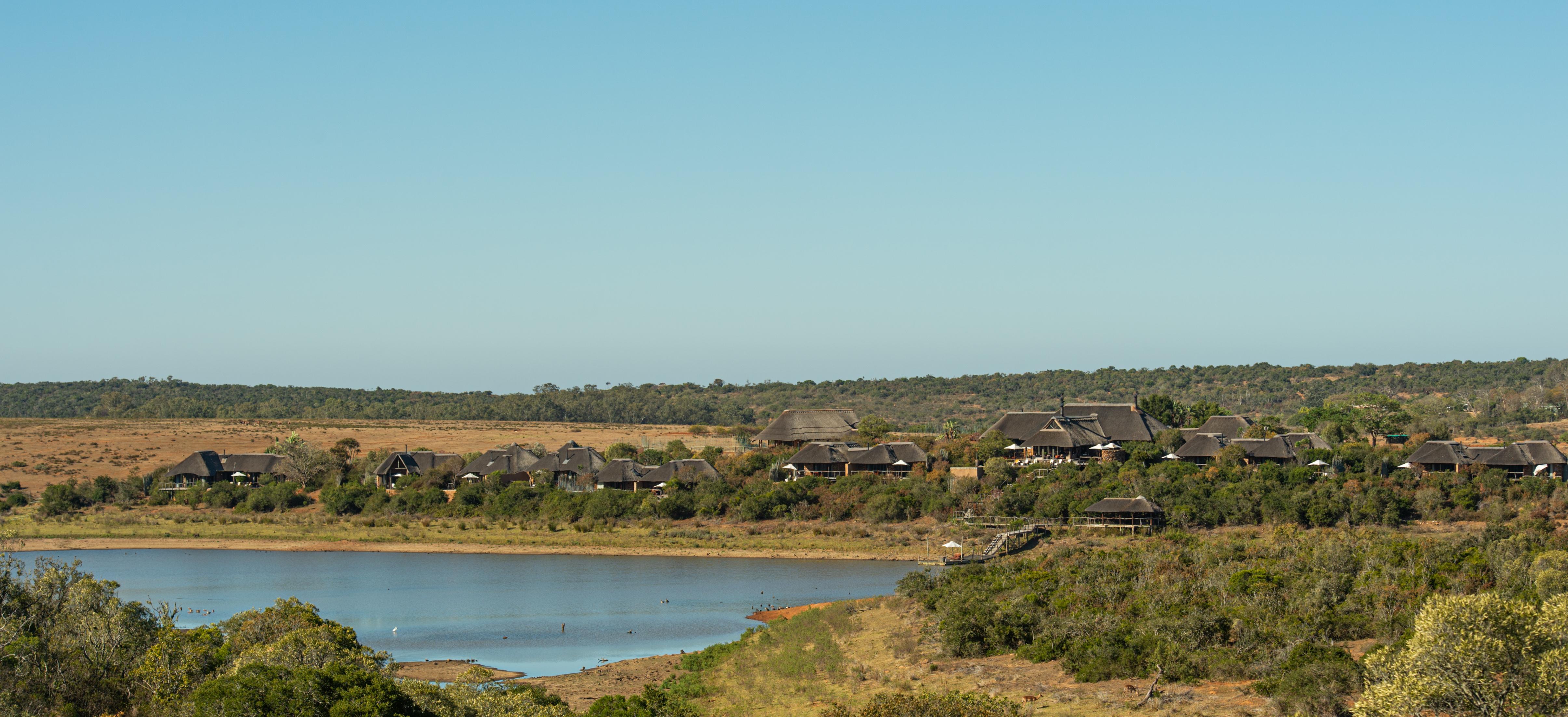 Pumba Private Game Reserve Port Elizabeth Exteriér fotografie