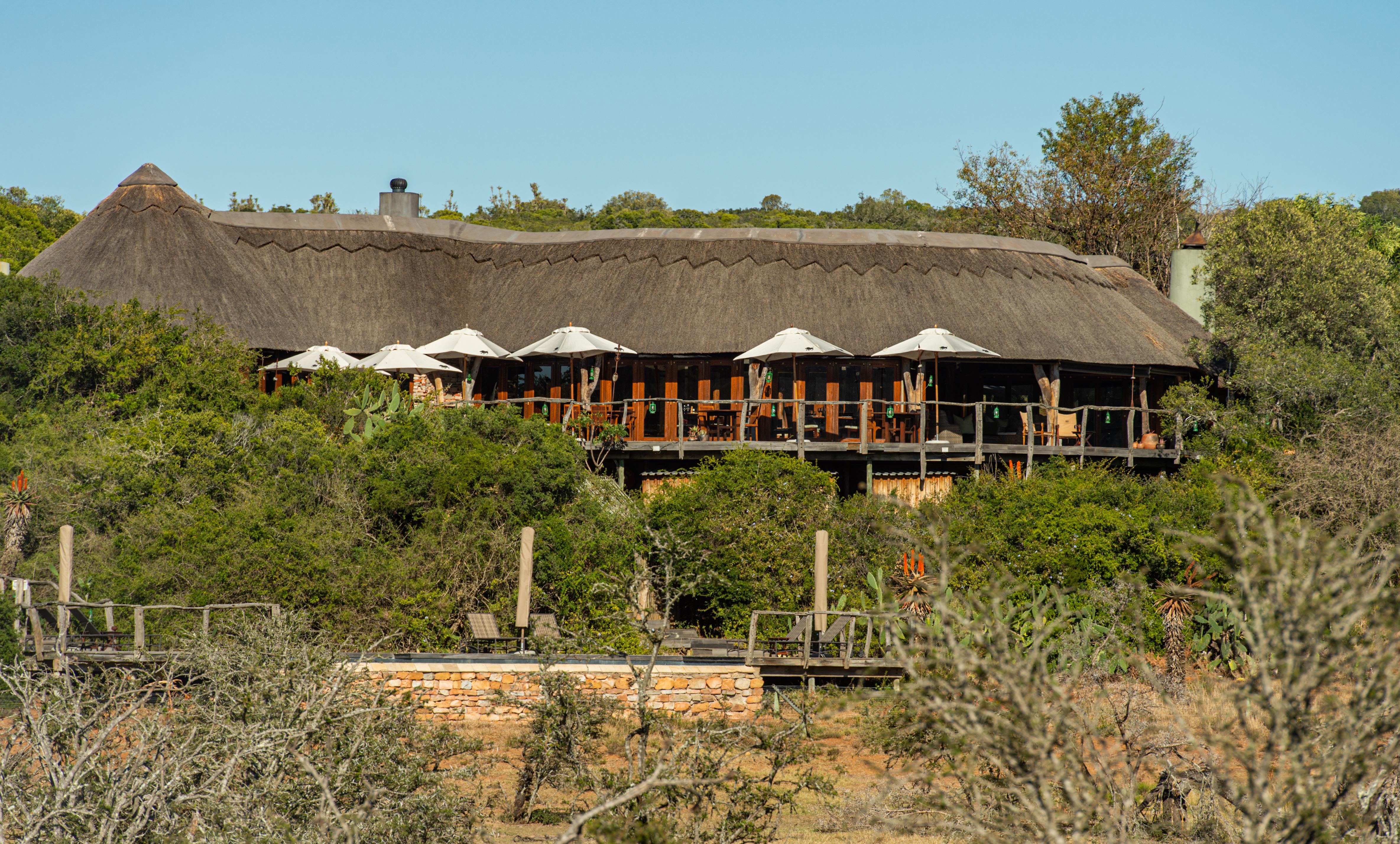 Pumba Private Game Reserve Port Elizabeth Exteriér fotografie