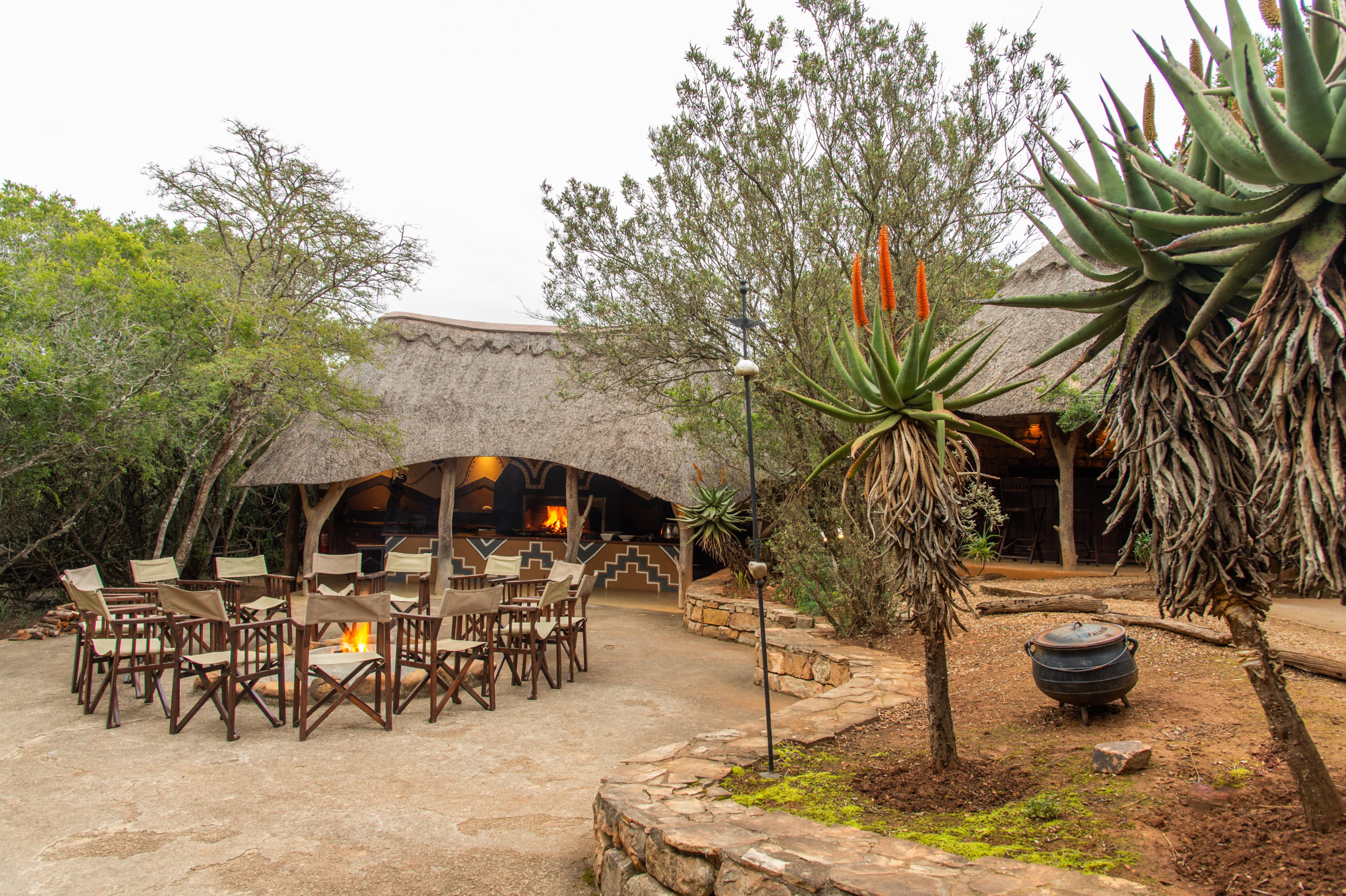 Pumba Private Game Reserve Port Elizabeth Exteriér fotografie